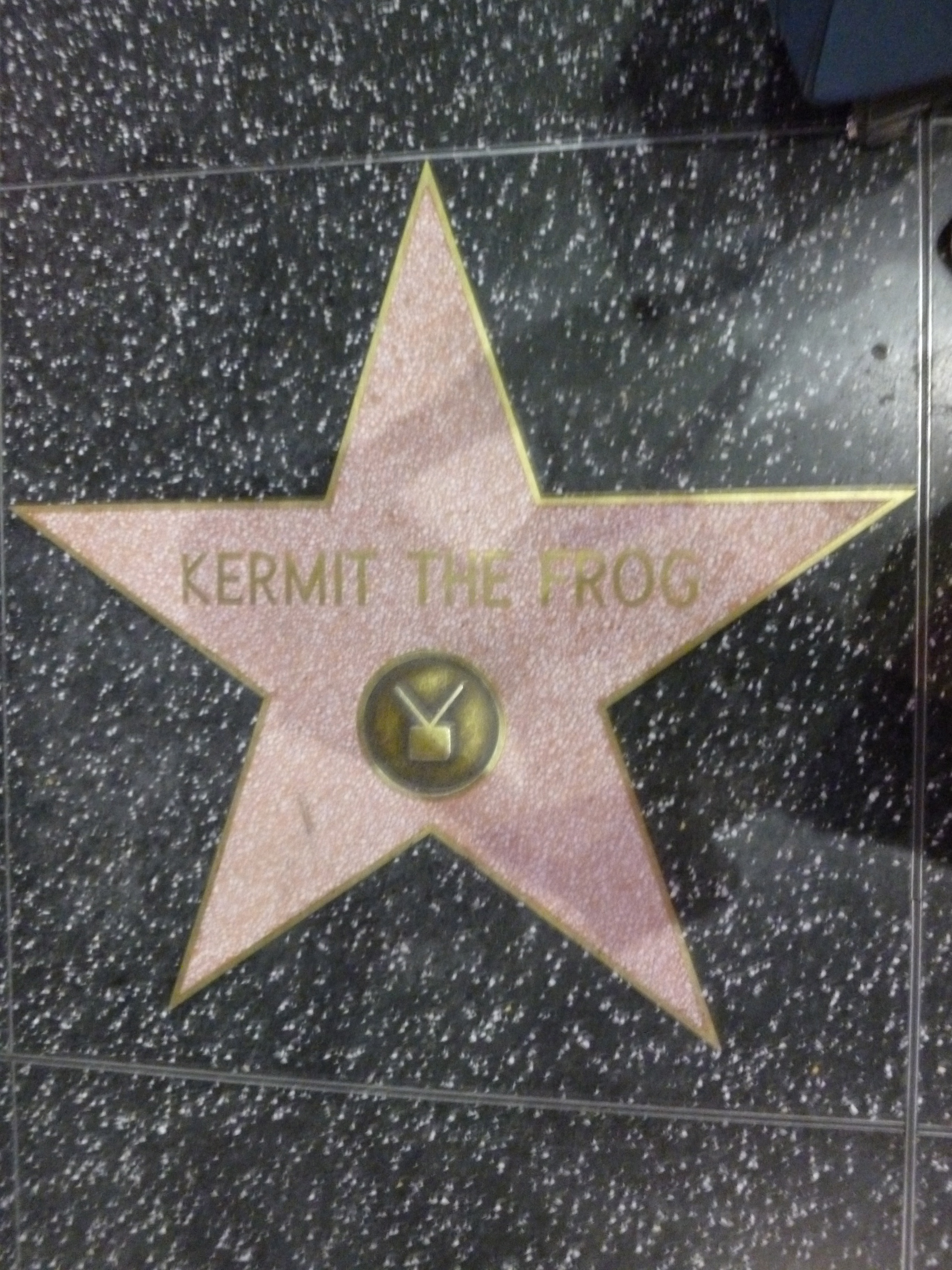 kermit the frog star hollywood