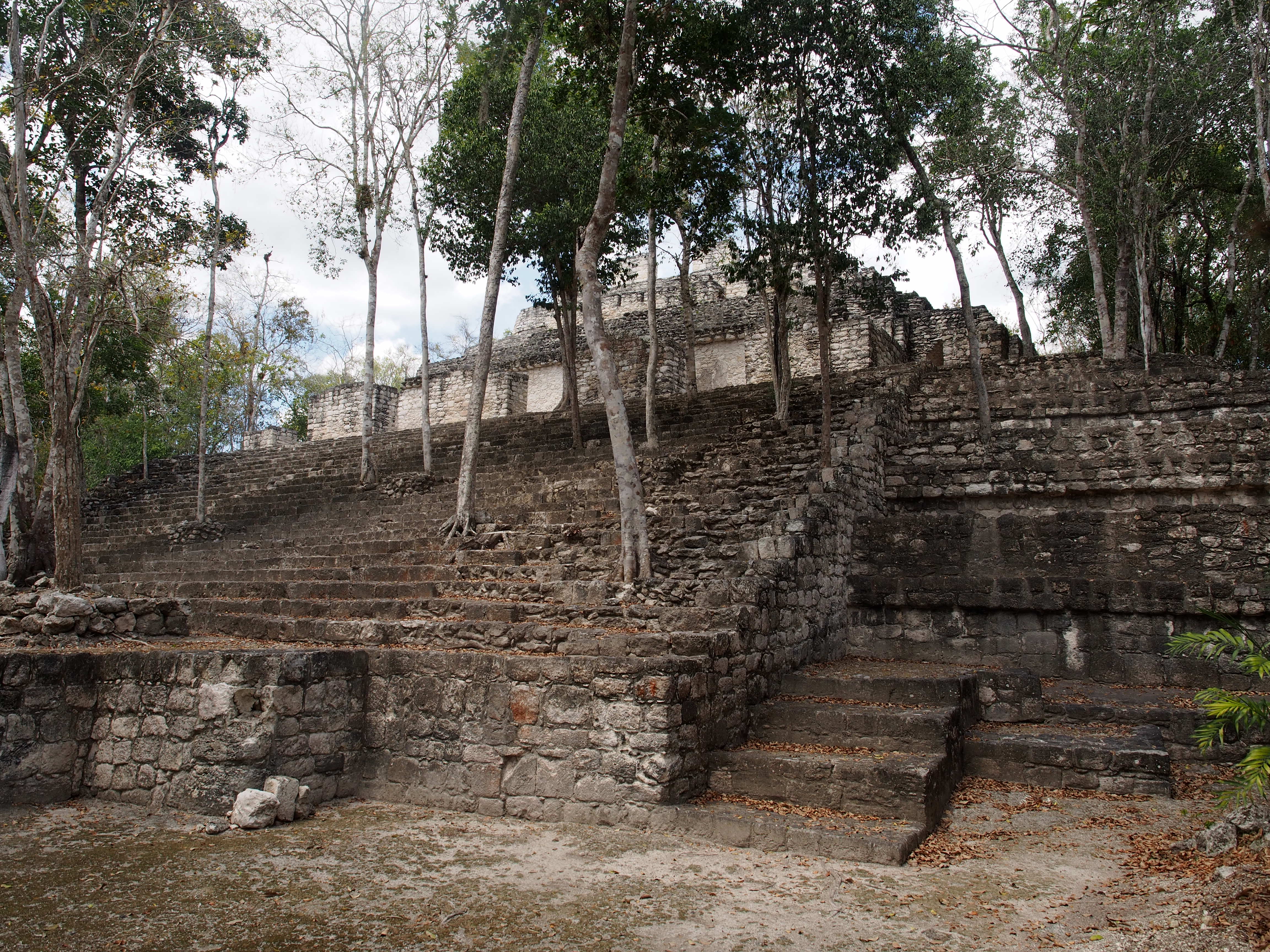 mayan pyramid calakmul mexico