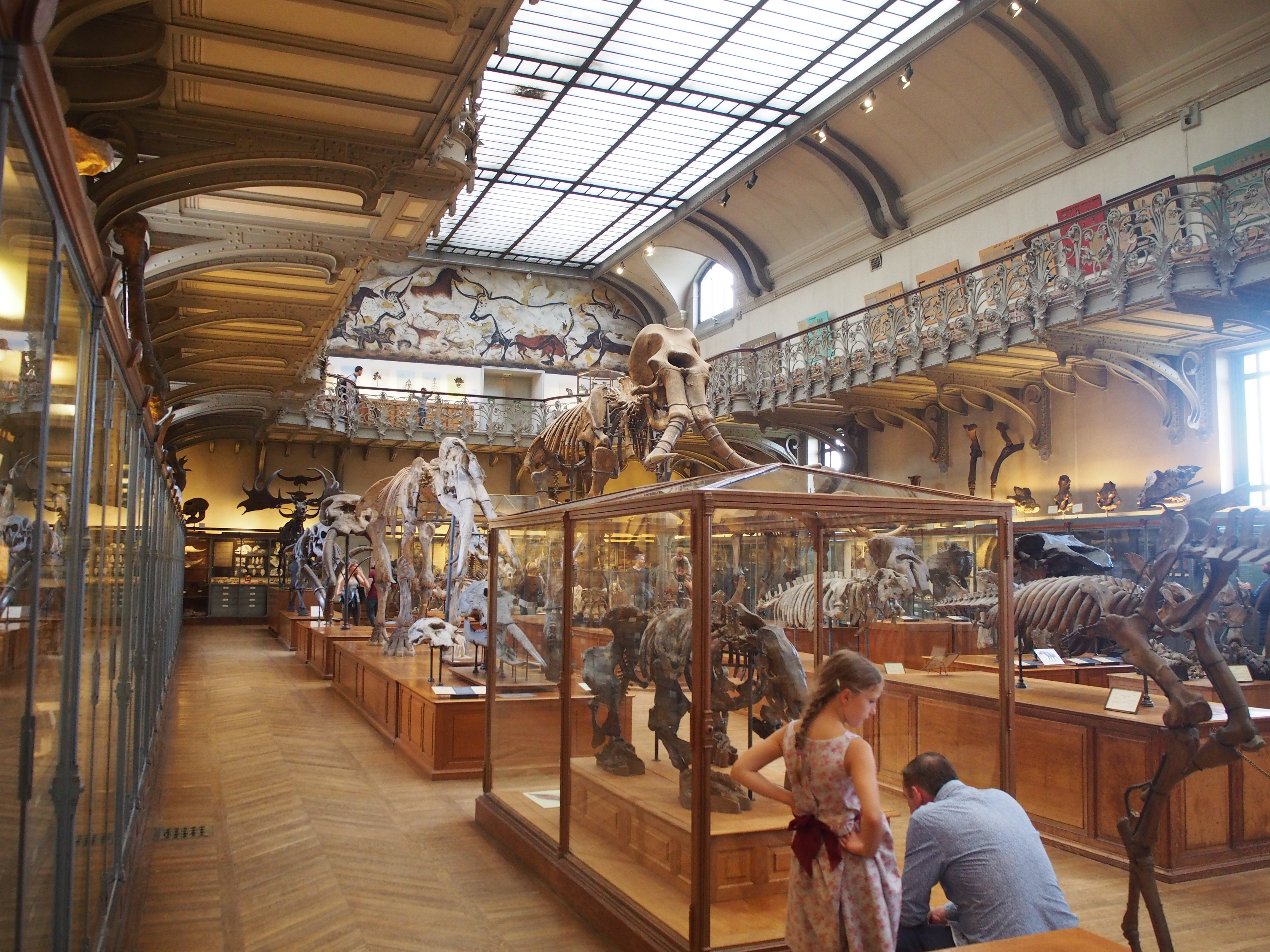 Palaeontology museum paris