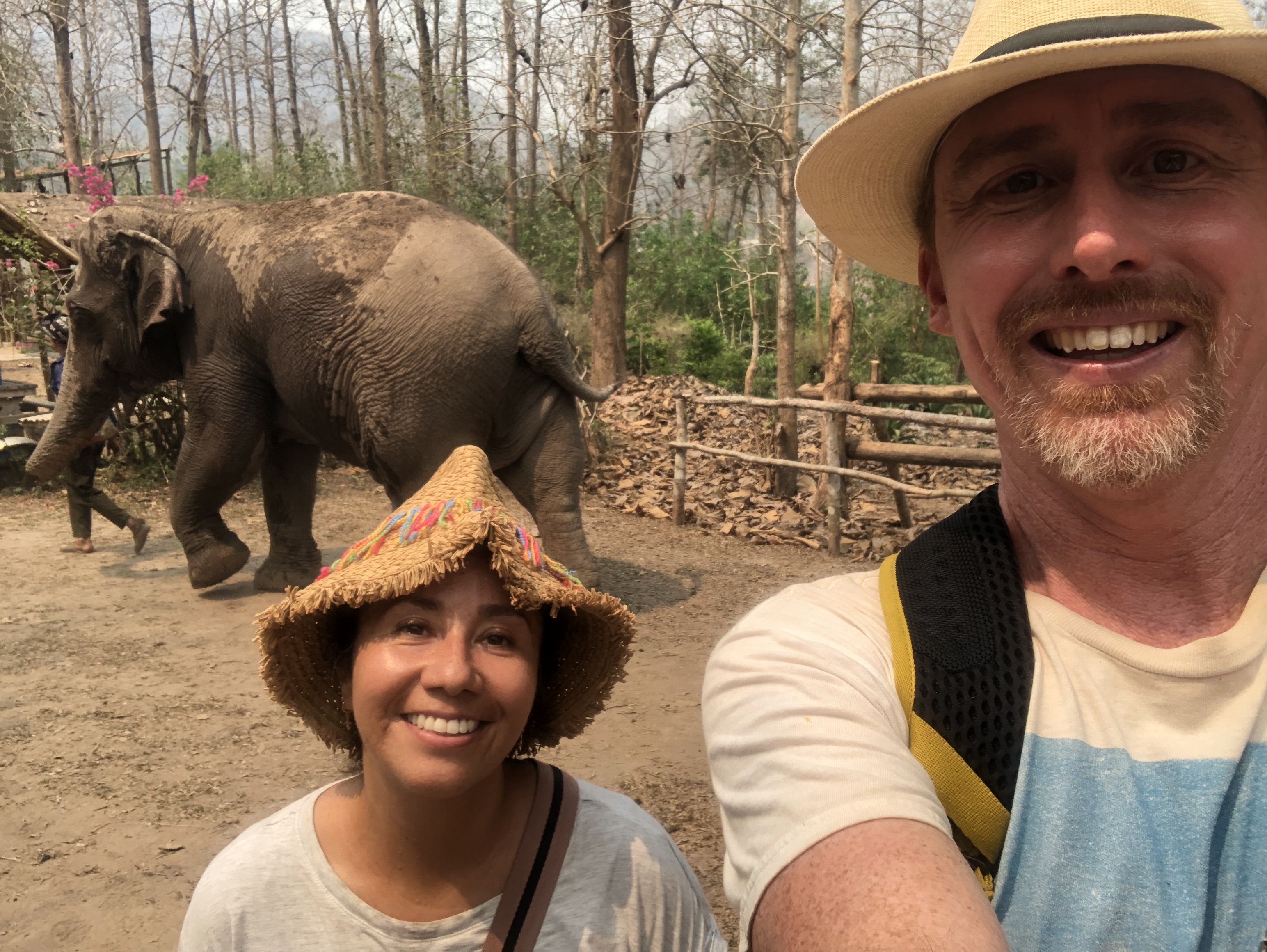 mekong elephant park pak beng laos